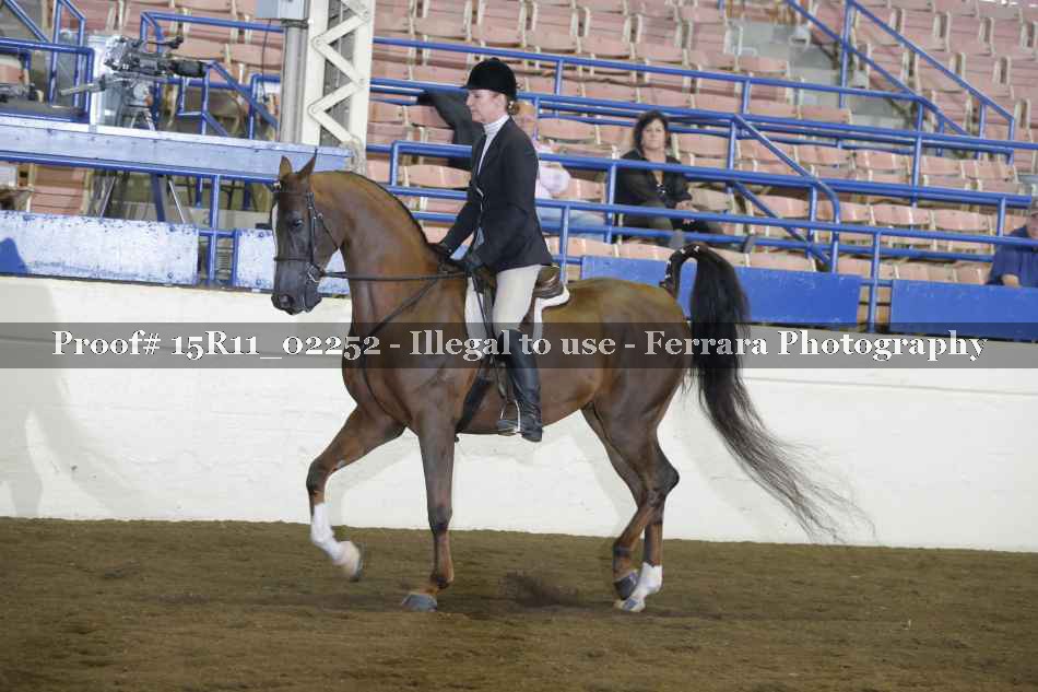Proof 15R11_02252