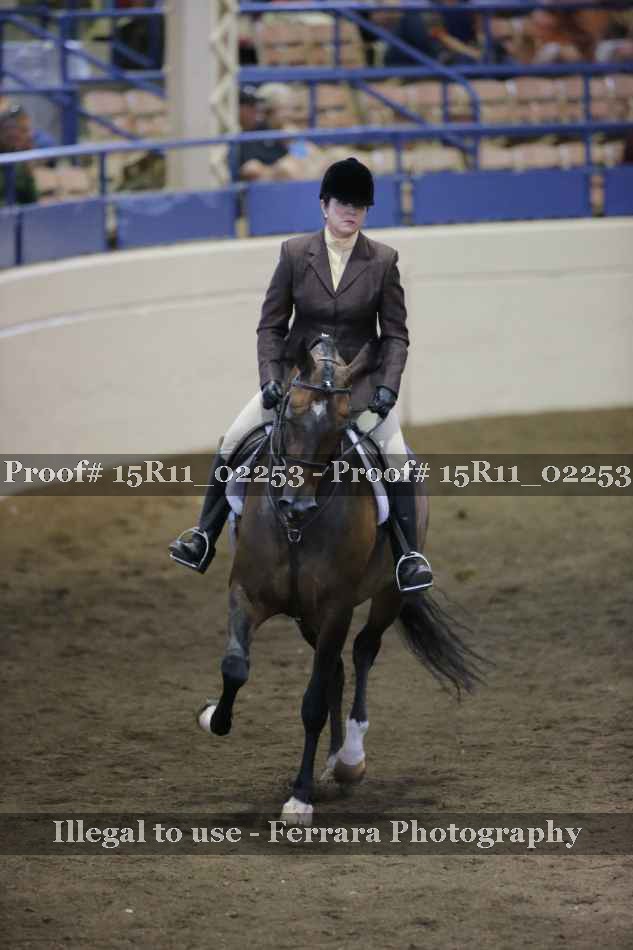 Proof 15R11_02253
