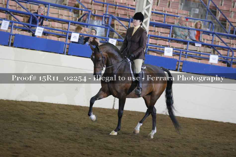 Proof 15R11_02254