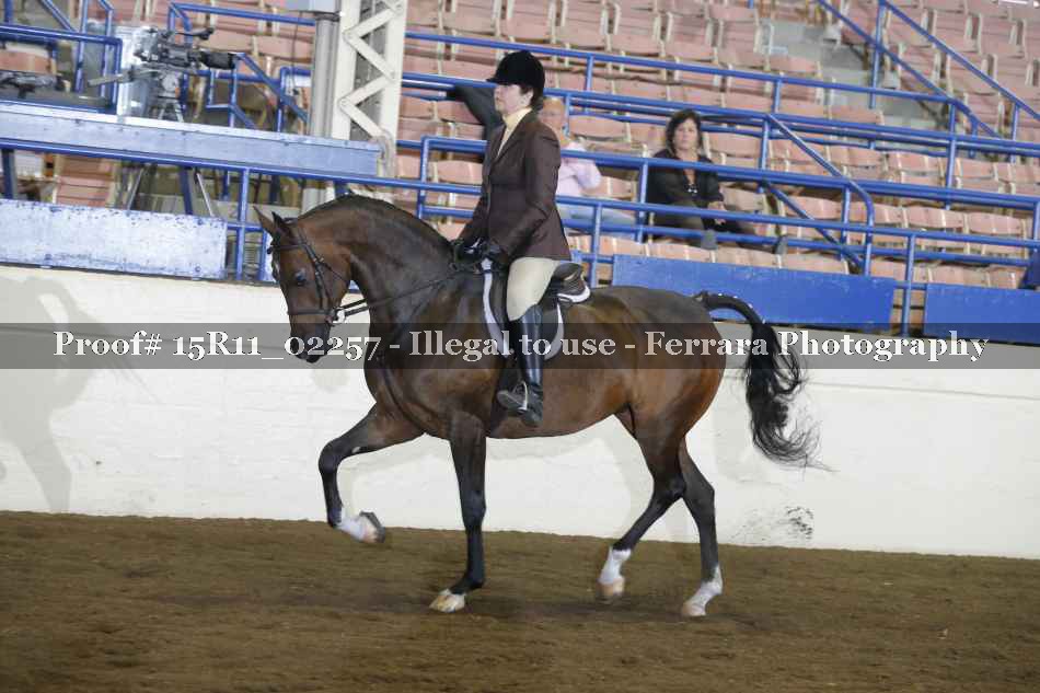 Proof 15R11_02257