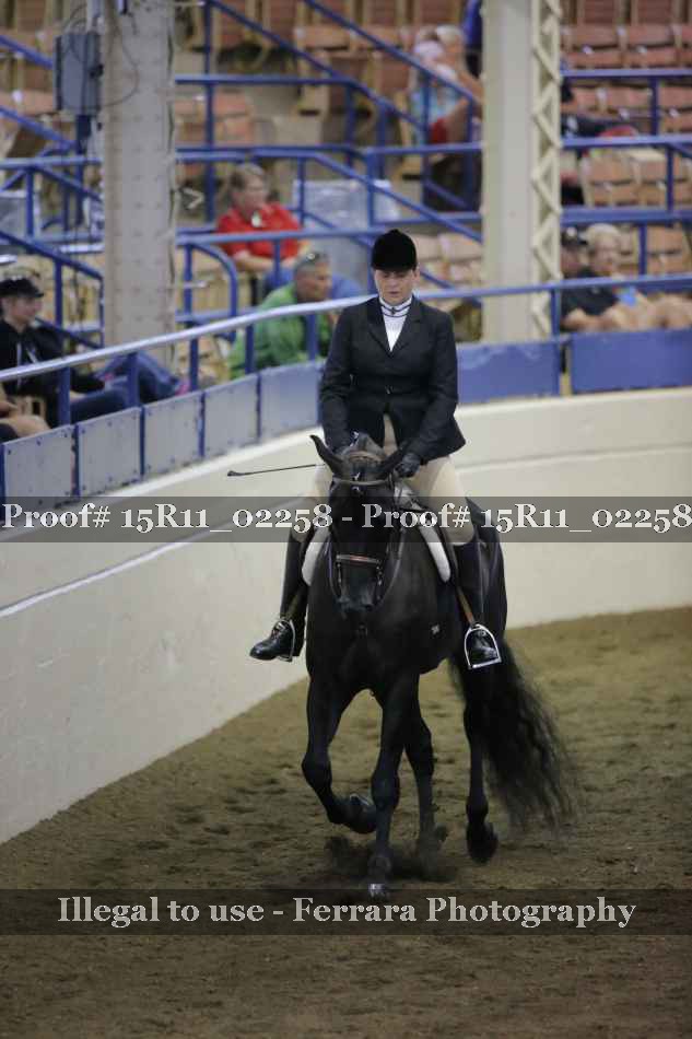 Proof 15R11_02258