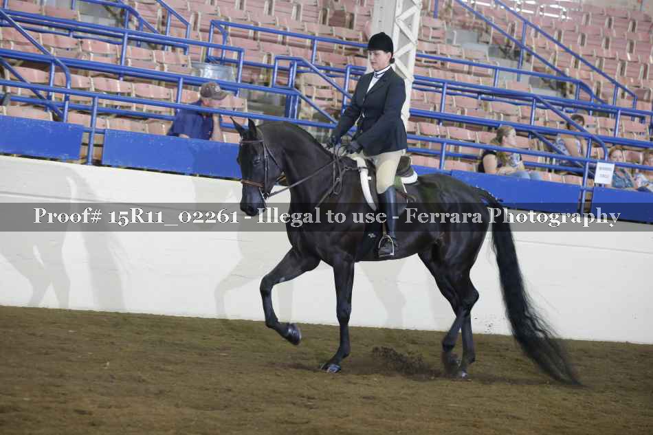 Proof 15R11_02261