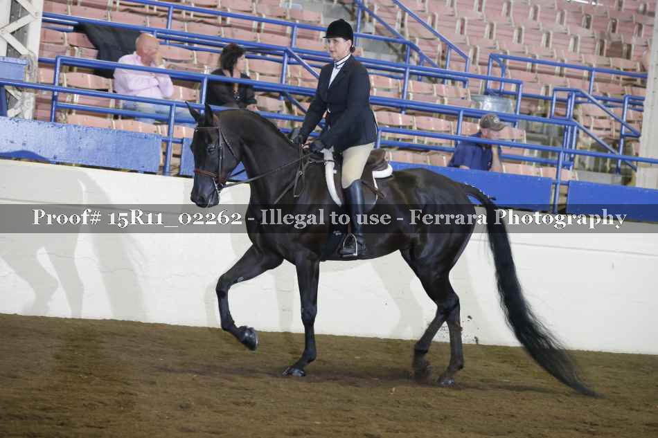 Proof 15R11_02262
