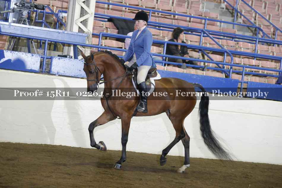 Proof 15R11_02264