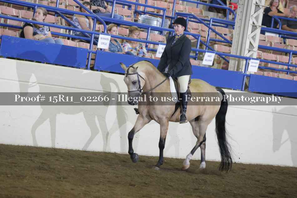 Proof 15R11_02266