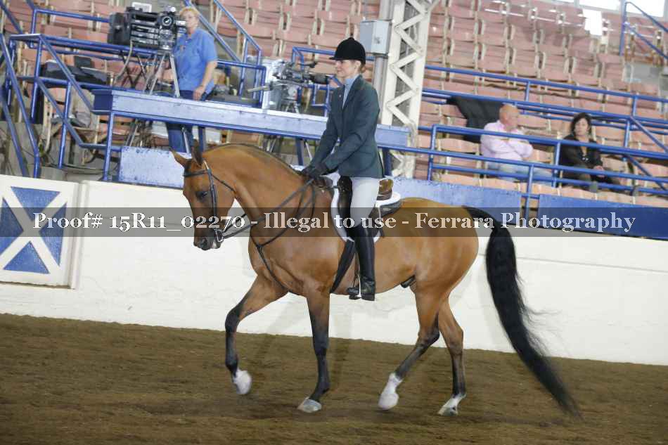 Proof 15R11_02270