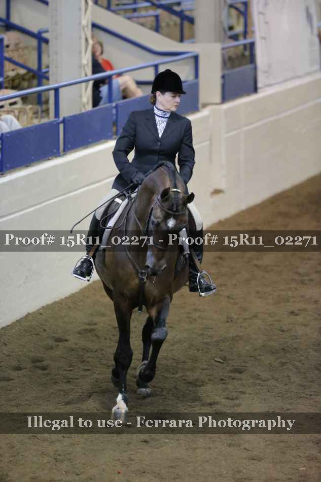 Proof 15R11_02271
