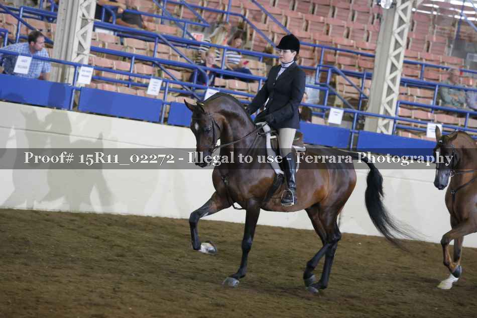 Proof 15R11_02272