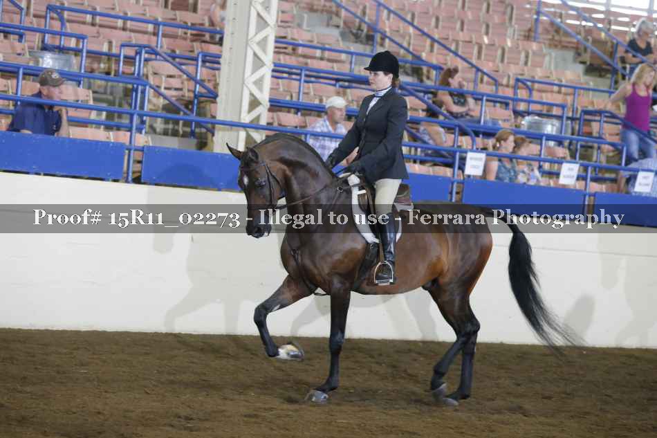 Proof 15R11_02273