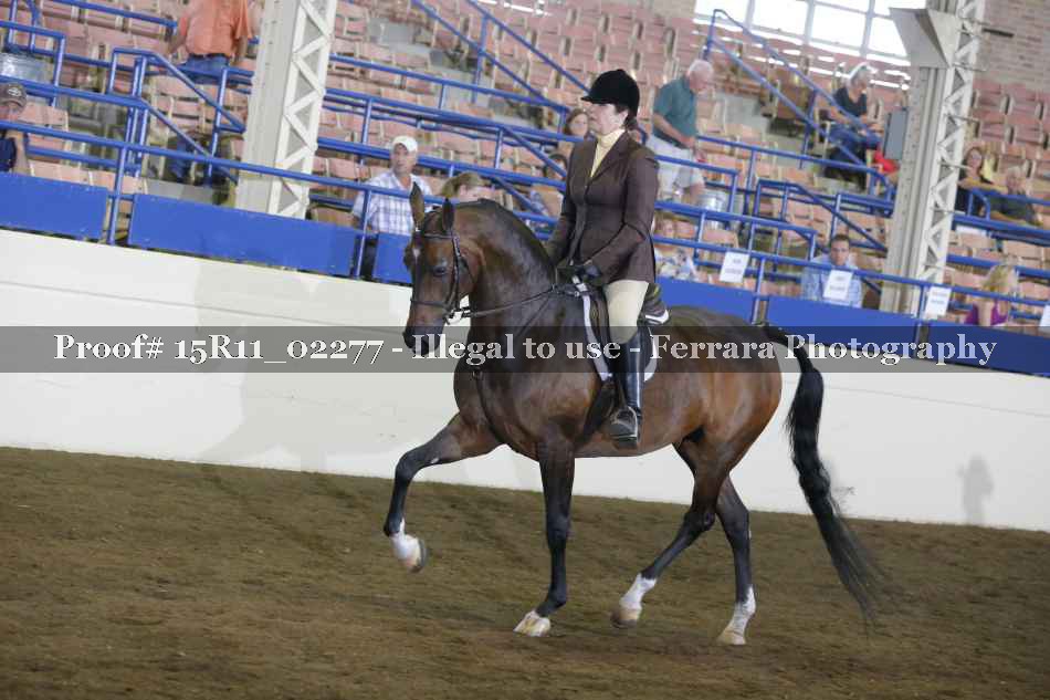 Proof 15R11_02277