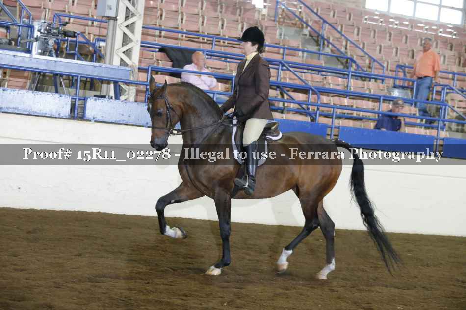 Proof 15R11_02278