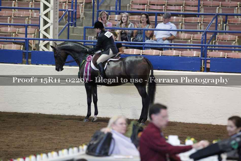 Proof 15R11_02291