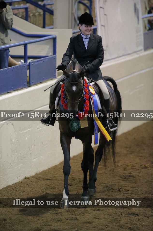 Proof 15R11_02295