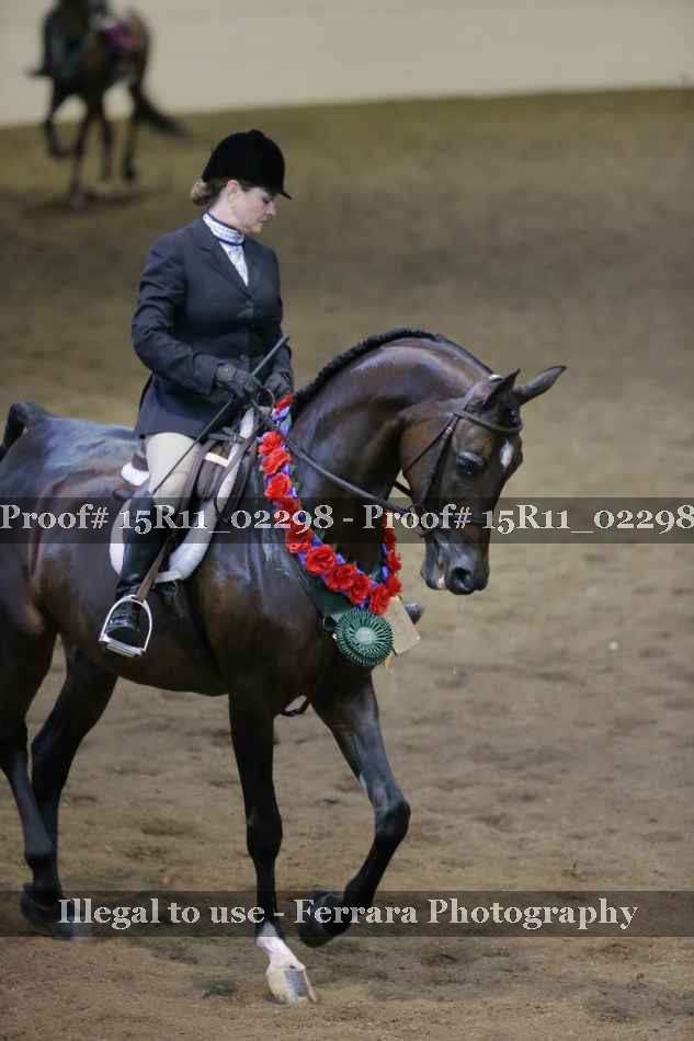 Proof 15R11_02298
