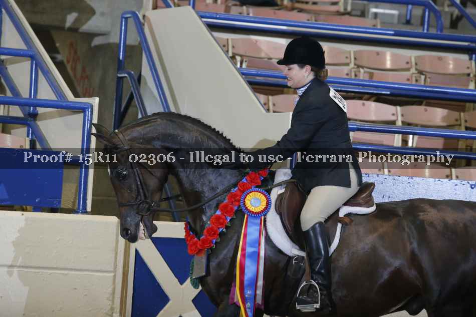 Proof 15R11_02306