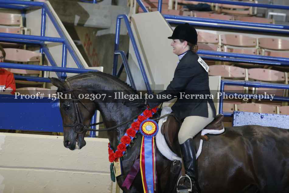 Proof 15R11_02307