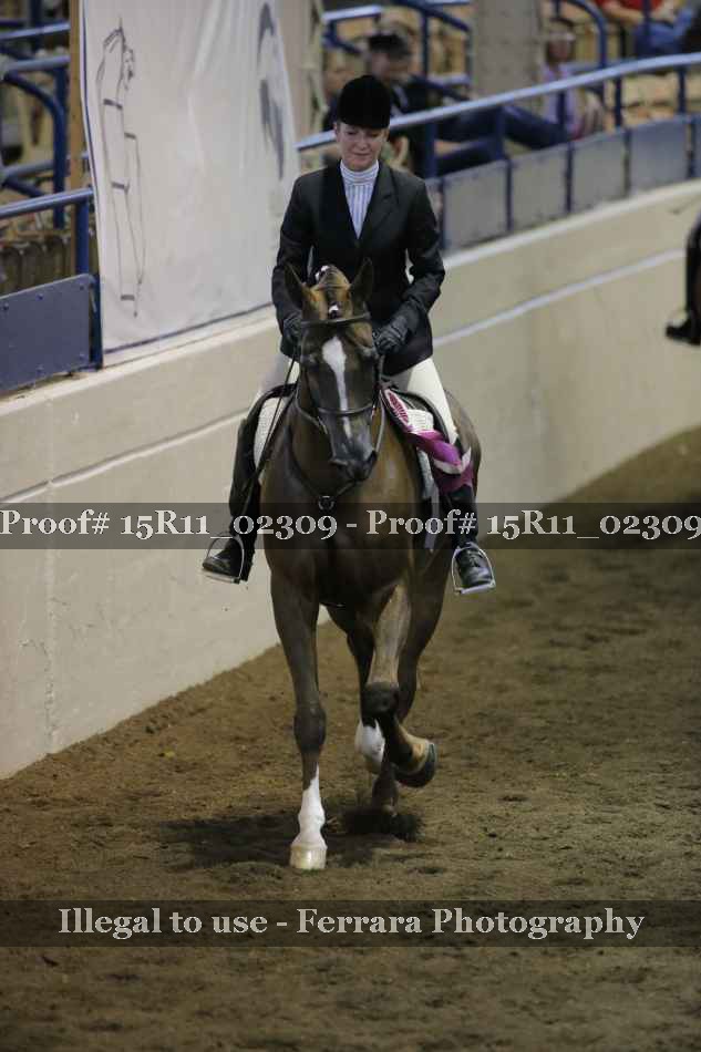 Proof 15R11_02309