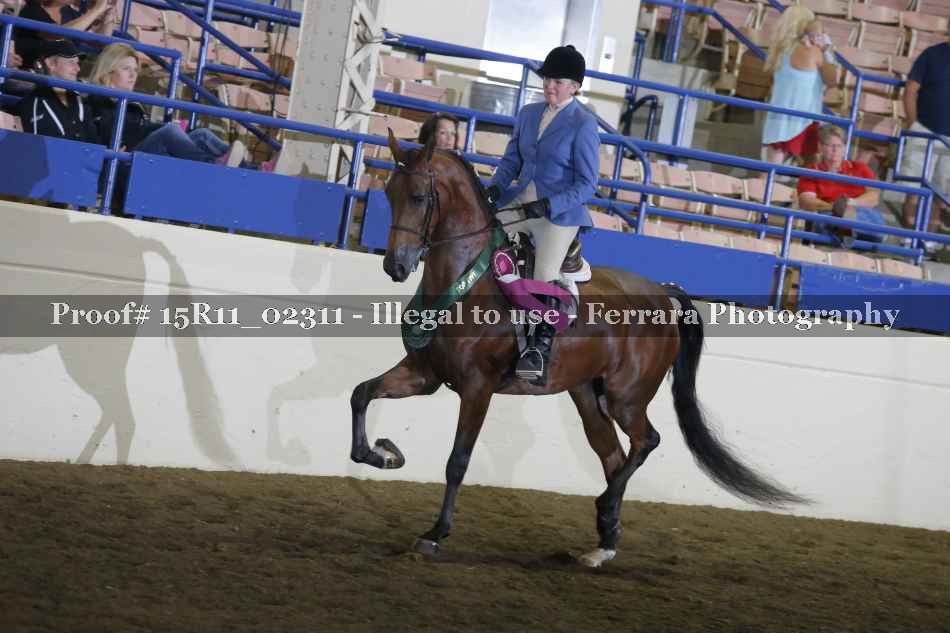 Proof 15R11_02311