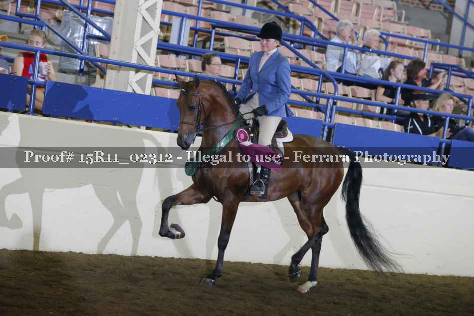 Proof 15R11_02312