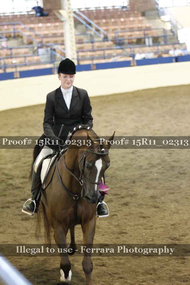 Proof 15R11_02313