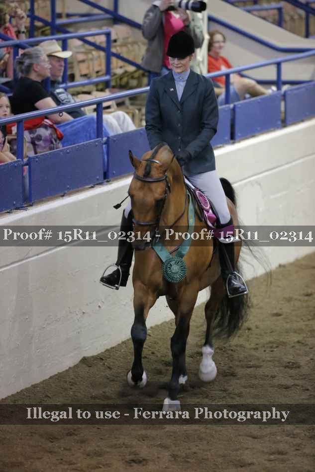 Proof 15R11_02314