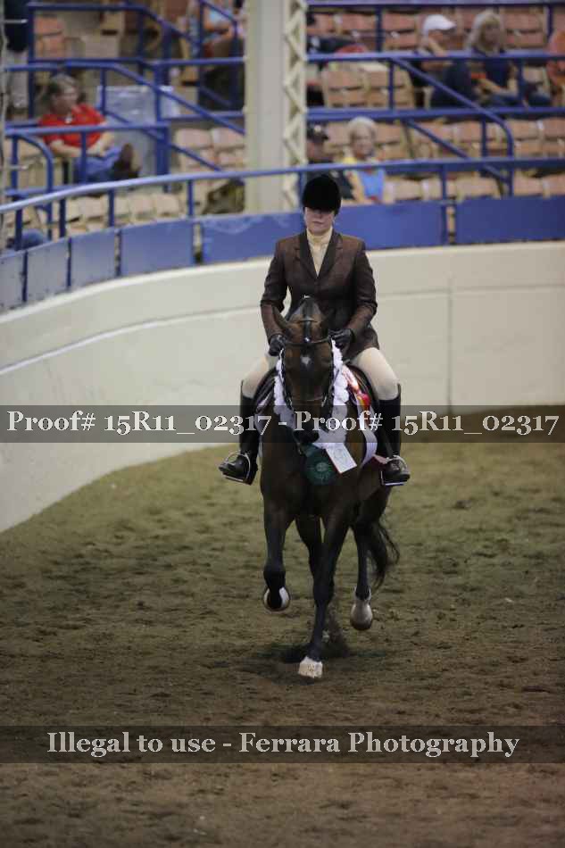 Proof 15R11_02317