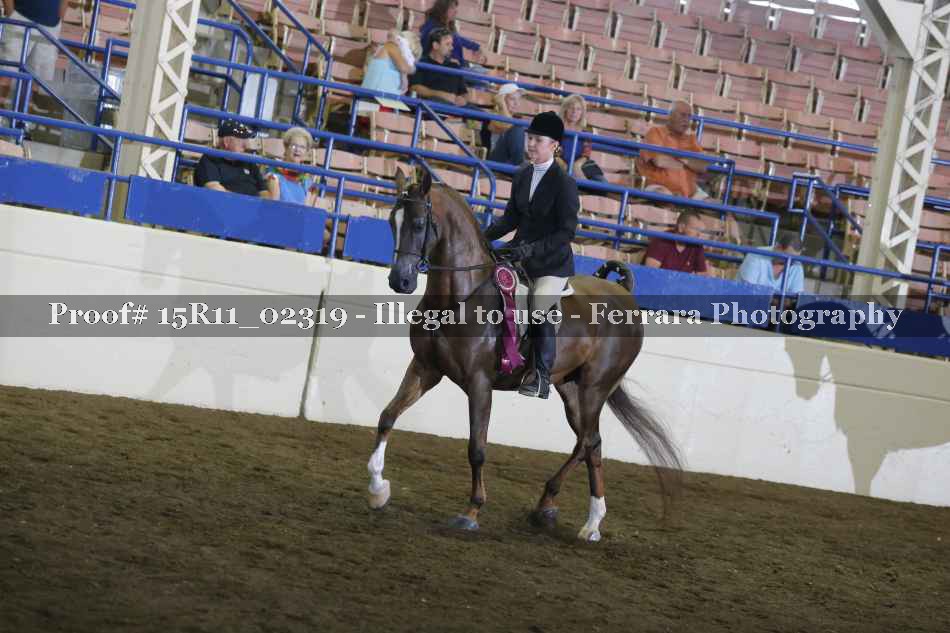 Proof 15R11_02319