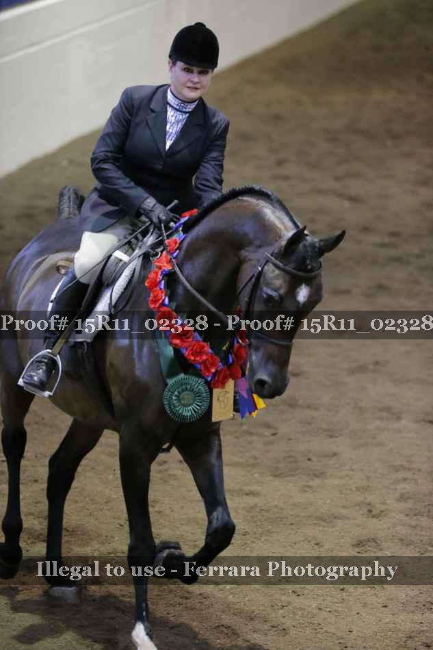 Proof 15R11_02328