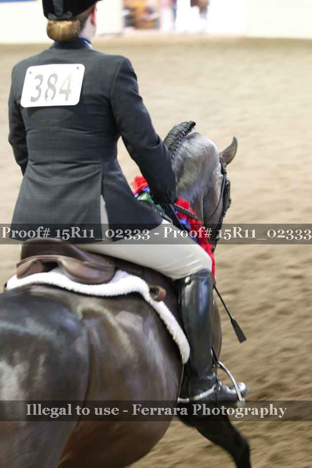 Proof 15R11_02333