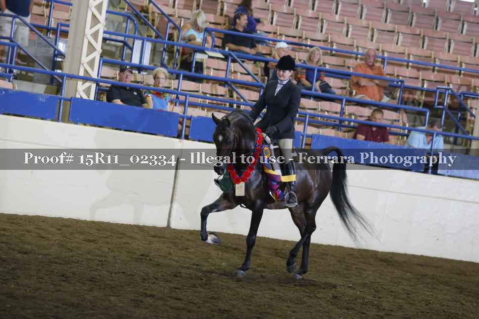 Proof 15R11_02334