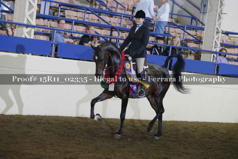 Proof 15R11_02335