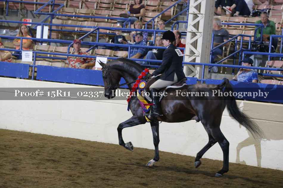 Proof 15R11_02337