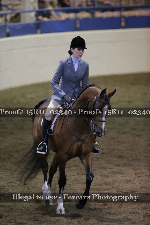 Proof 15R11_02340