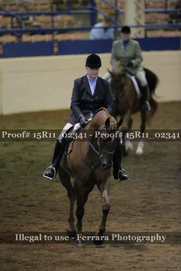 Proof 15R11_02341