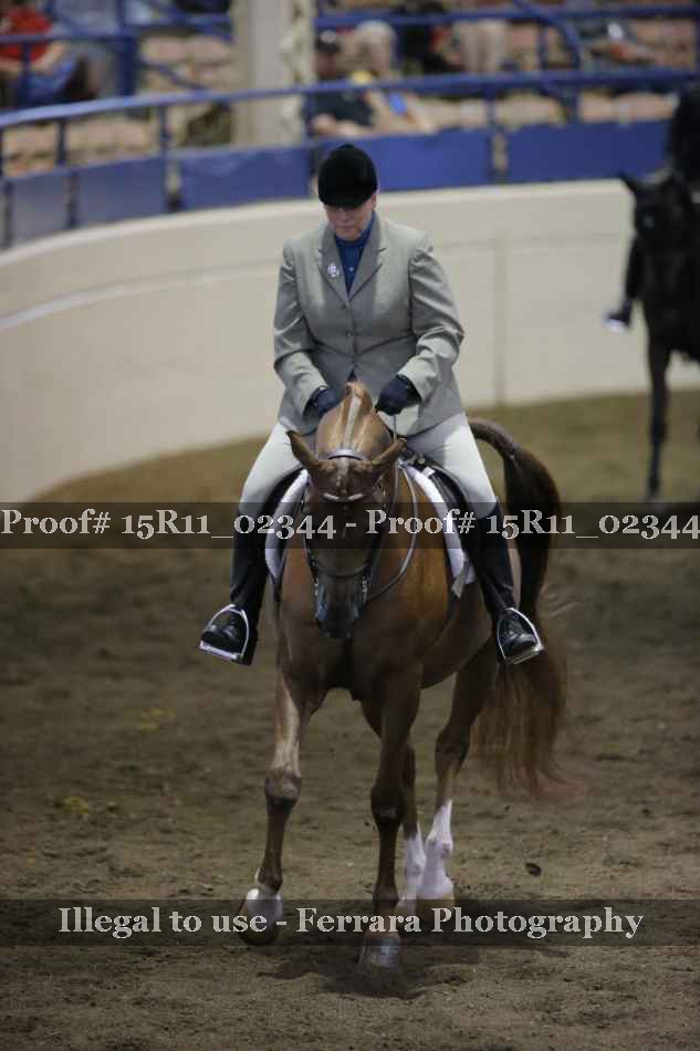 Proof 15R11_02344