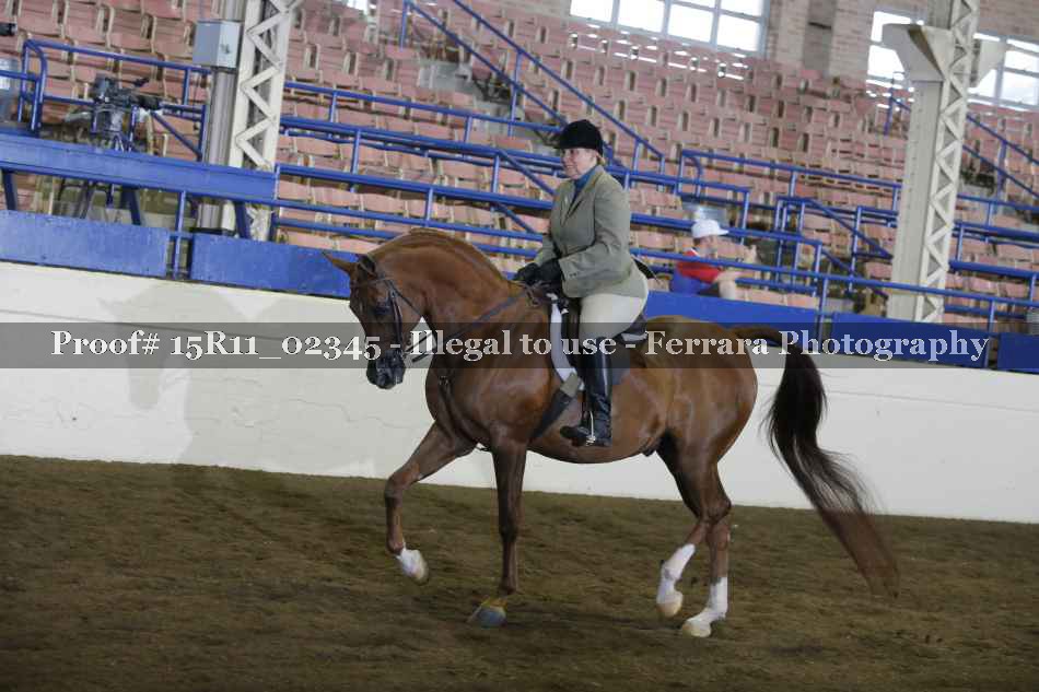 Proof 15R11_02345