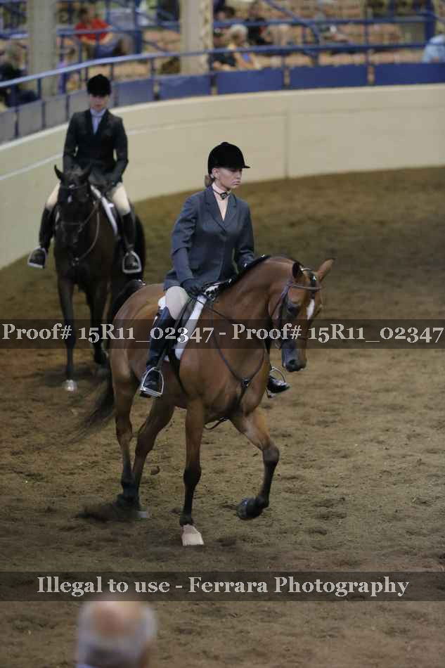 Proof 15R11_02347