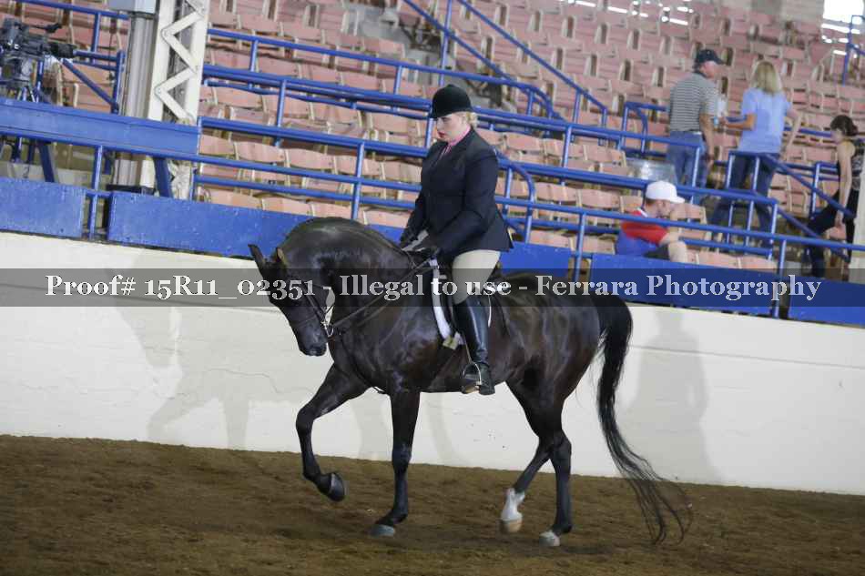 Proof 15R11_02351