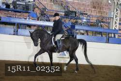 15R11_02352 proof