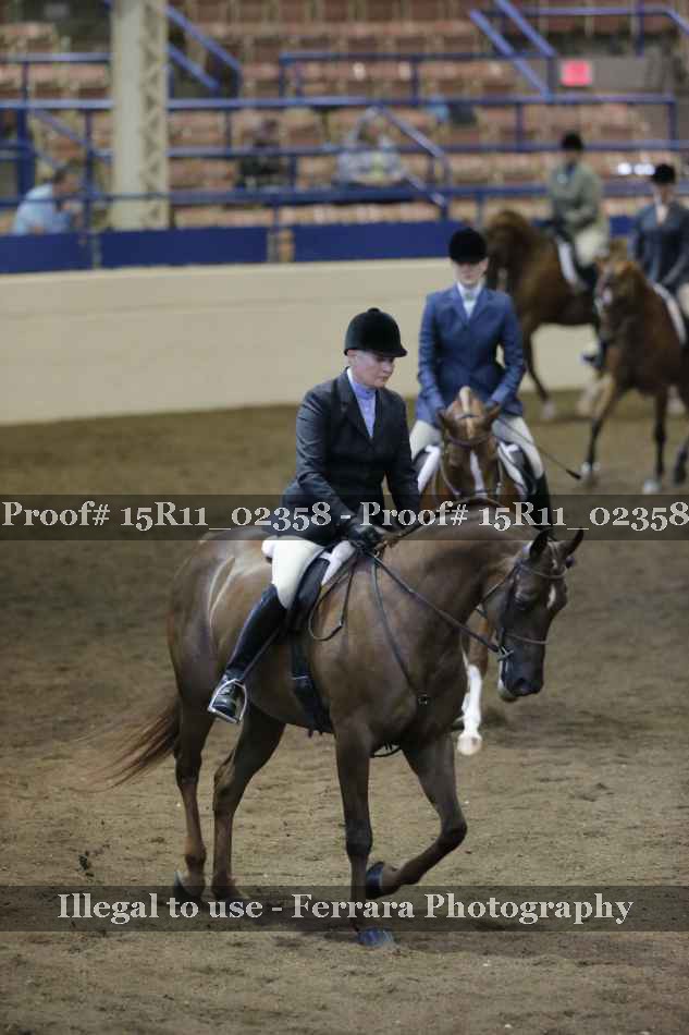 Proof 15R11_02358