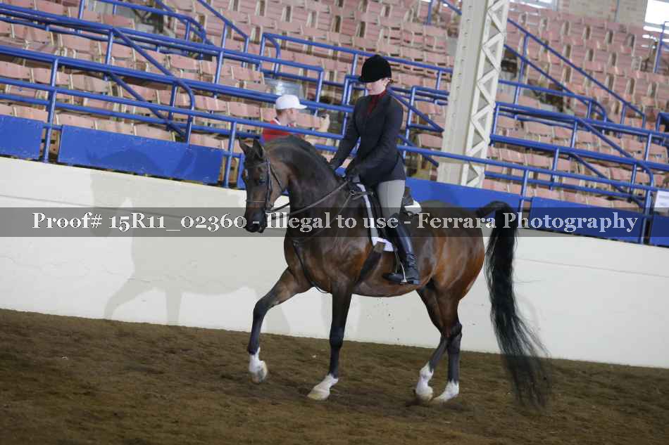 Proof 15R11_02360