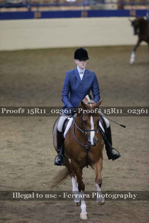 Proof 15R11_02361