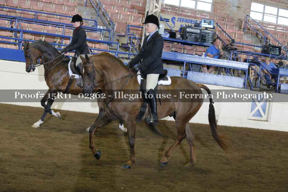Proof 15R11_02362