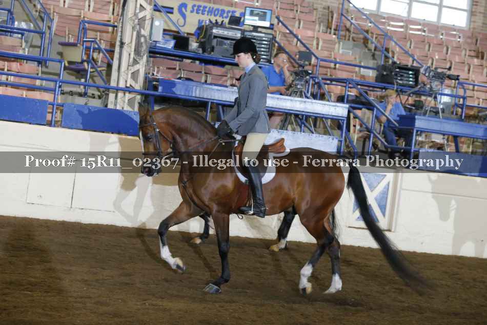 Proof 15R11_02367