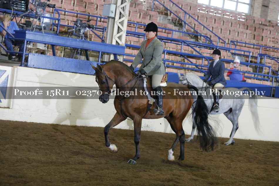 Proof 15R11_02370
