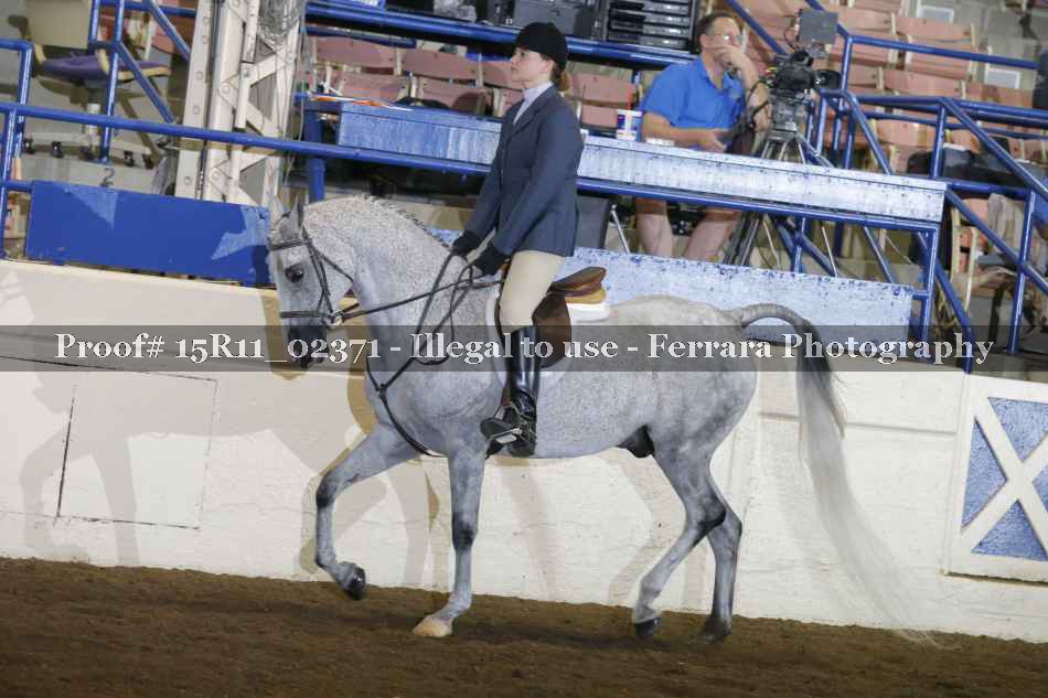 Proof 15R11_02371
