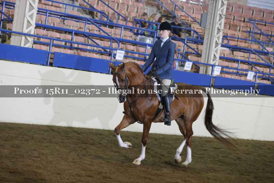 Proof 15R11_02372