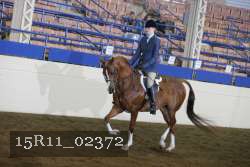 15R11_02372 proof