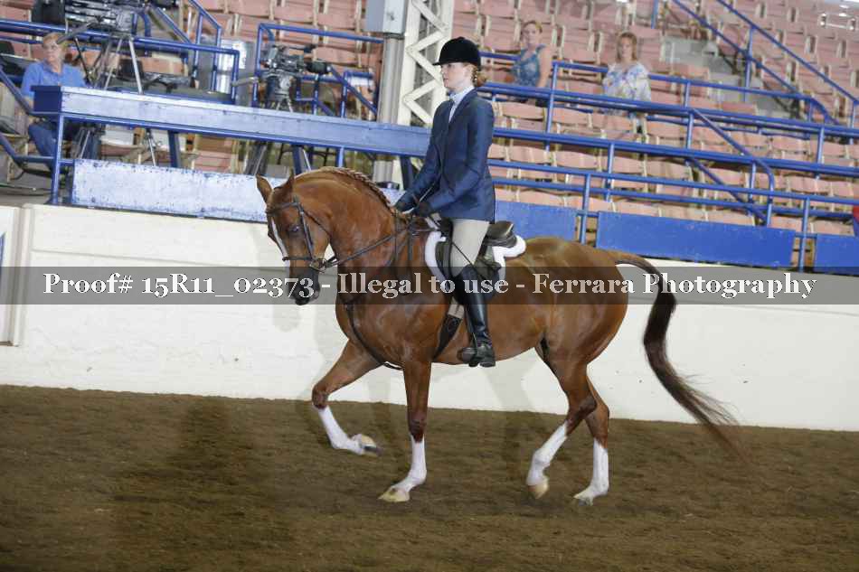 Proof 15R11_02373