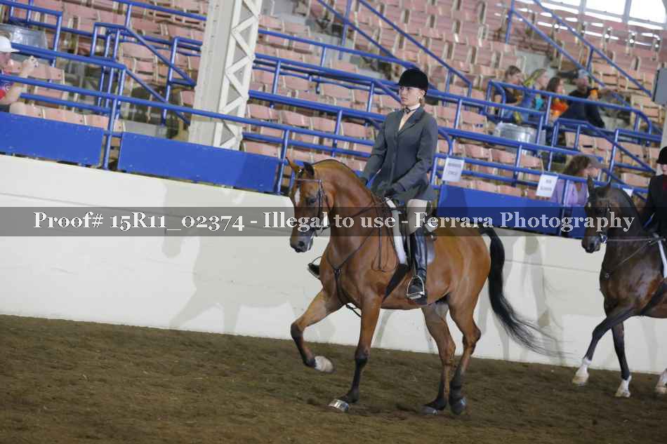 Proof 15R11_02374